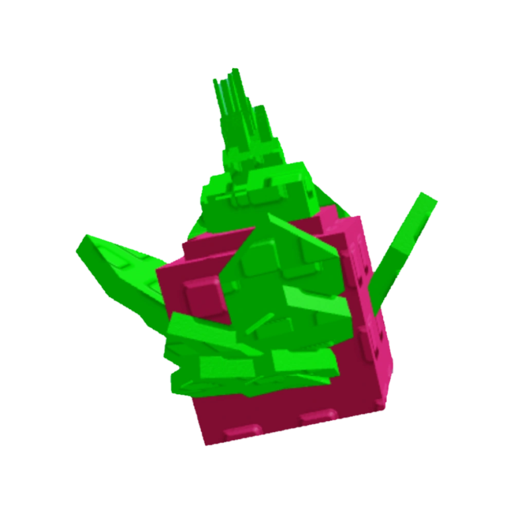 Dragon Fruit Seed